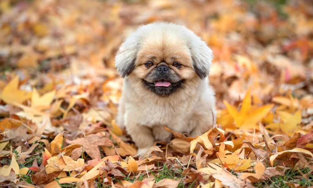 失恋をいつまで引きずるのが普通なのか？