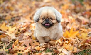 失恋をいつまで引きずるのが普通なのか？