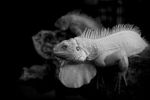 彼女との会話が続かない時の解決策は？