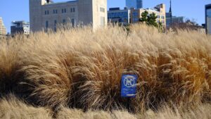 愛される人になりたいけど、どうしたらNOと言えるのか？