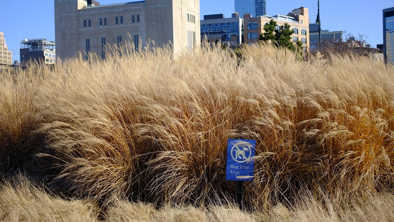 愛される人になりたいけど、どうしたらNOと言えるのか？