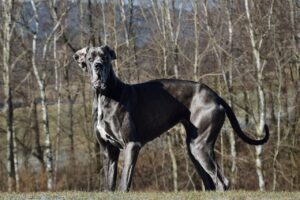 恋愛で彼が冷たい時の効果的な対処法は？