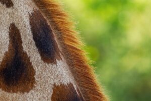 恋愛で彼女に依存する自分を直す方法は？