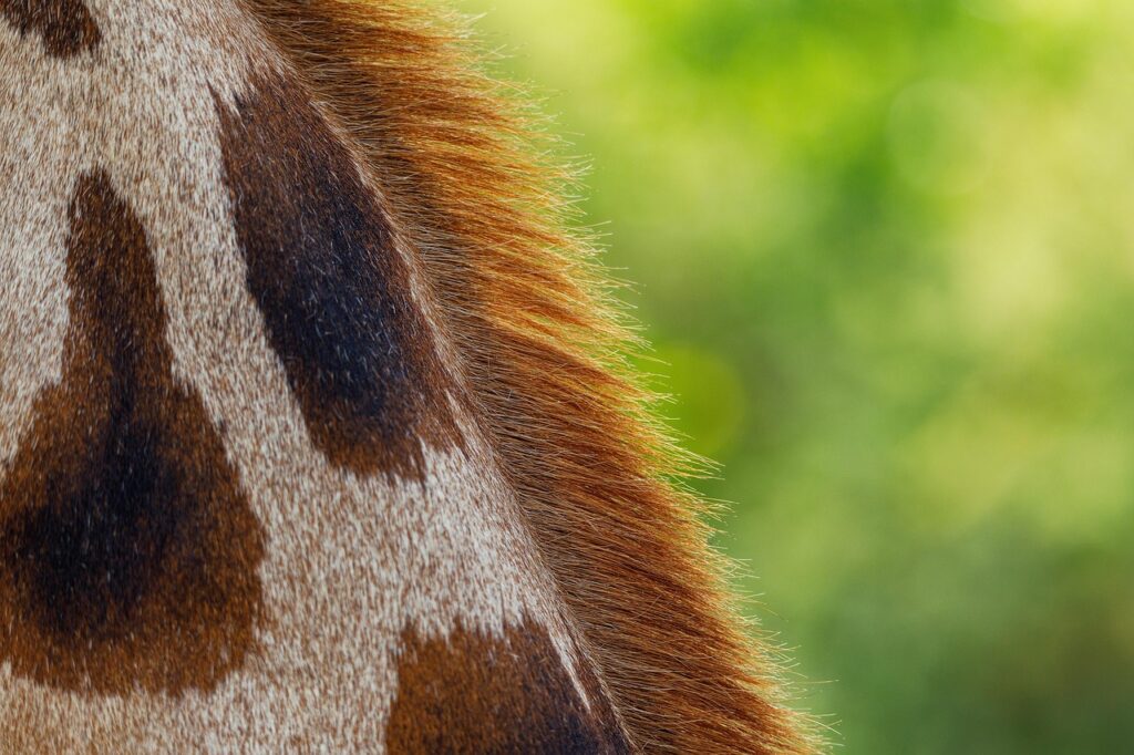 恋愛における手をつなぐタイミングはいつがベスト？