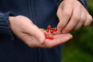 恋愛において押さえておくべき重要ポイントは？